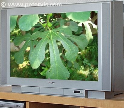 Sony Television KV-36FS76U